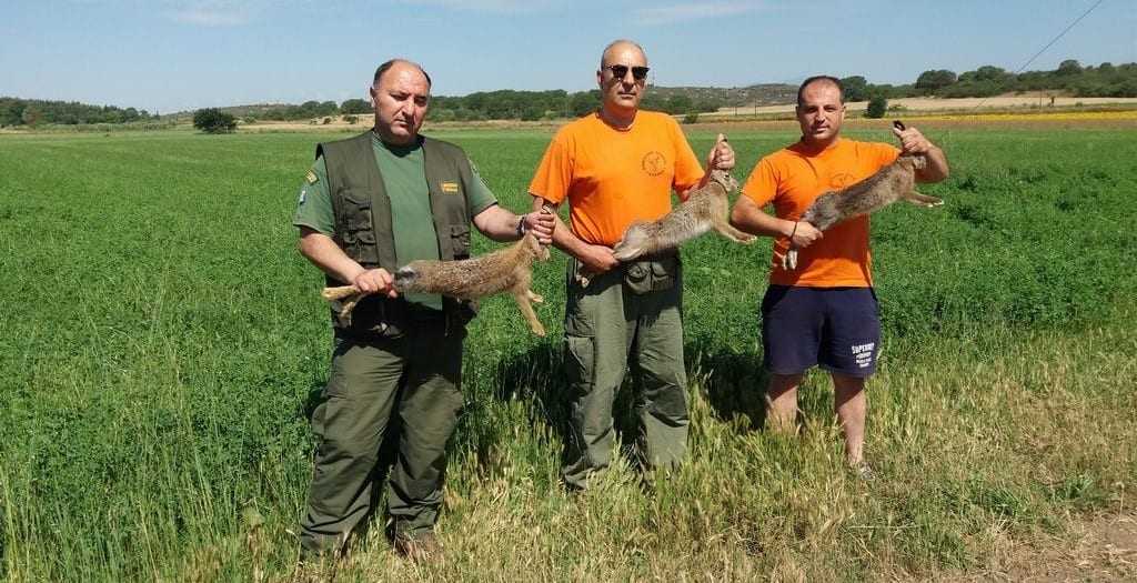 Εμπλουτισμός Βιοτόπων με λαγούς από τον Κυνηγετικό Σύλλογο Ξάνθης