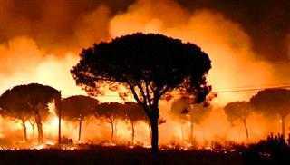 Καίγεται η νότια Ισπανία – Εκατοντάδες εγκαταλείπουν τα σπίτια τους
