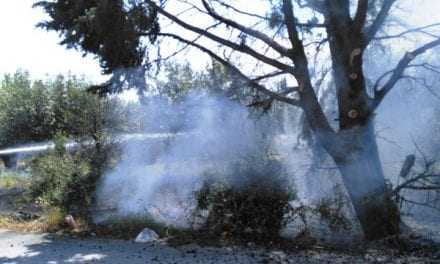 Πυρκαγιά δίπλα από τα νεκροταφεία της Ξάνθης