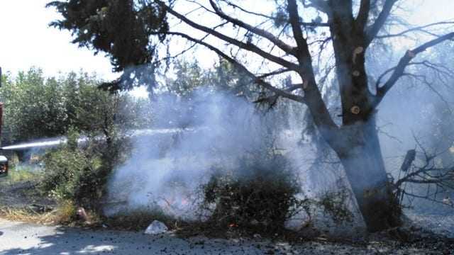 Πυρκαγιά δίπλα από τα νεκροταφεία της Ξάνθης