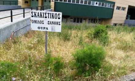 ΦΩΤΟΡΕΠΟΡΤΑΖ: Οι εικόνες μιλάνε και ο καθένας ακούει ότι λένε