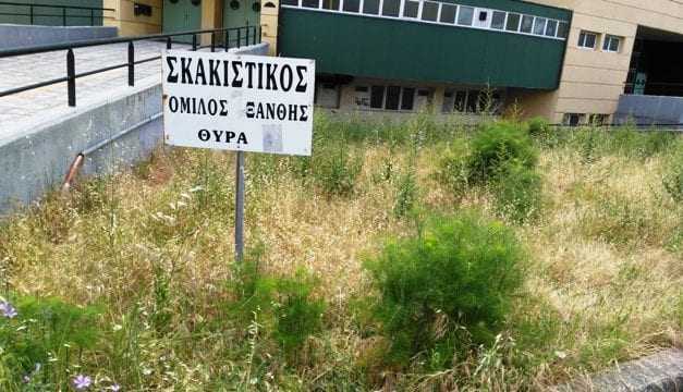 ΦΩΤΟΡΕΠΟΡΤΑΖ: Οι εικόνες μιλάνε και ο καθένας ακούει ότι λένε