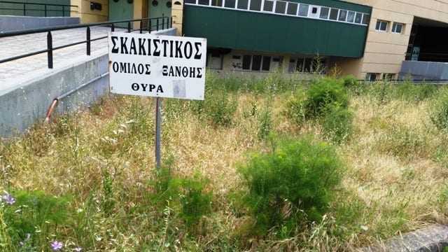 ΦΩΤΟΡΕΠΟΡΤΑΖ: Οι εικόνες μιλάνε και ο καθένας ακούει ότι λένε