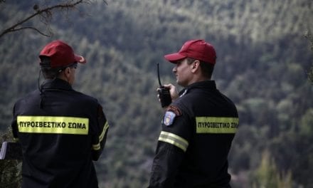 Σε ύφεση οι πυρκαγιές στη Μάνη, νέο μέτωπο στην Κέρκυρα – «Βέλη» των πυροσβεστών κατά Ν. Τόσκα