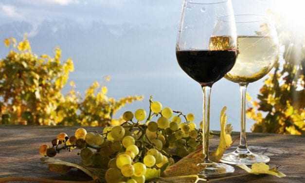 Άμεση κατάργηση του ειδικού φόρου κατανάλωσης στο κρασί   
