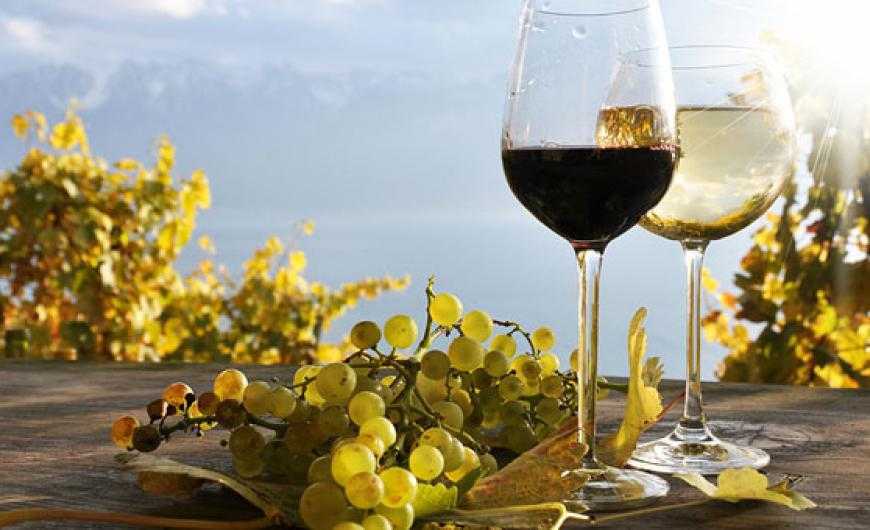 Άμεση κατάργηση του ειδικού φόρου κατανάλωσης στο κρασί   