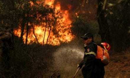 175 στρέμματα δάσους έγιναν στάχτη στην Δαδιά