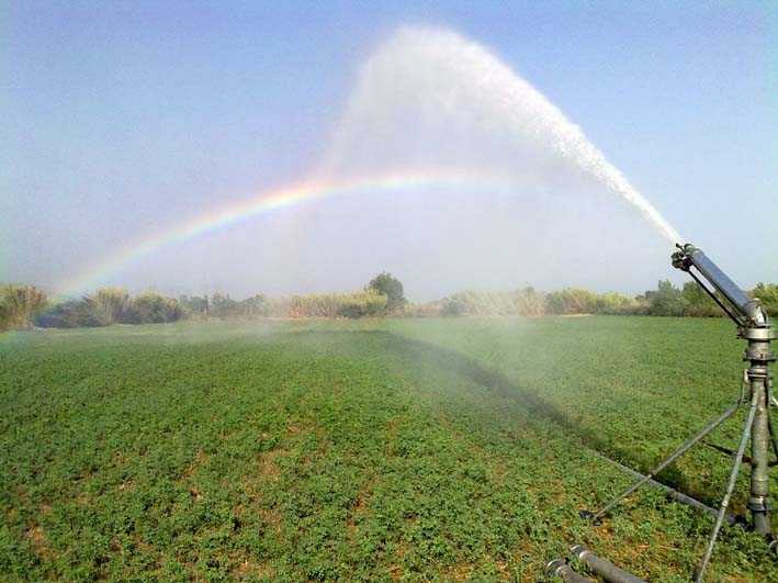 Απότιστα τα χωράφια στον κάμπο της Ξάνθης. Ερώτηση της Χ.Α.