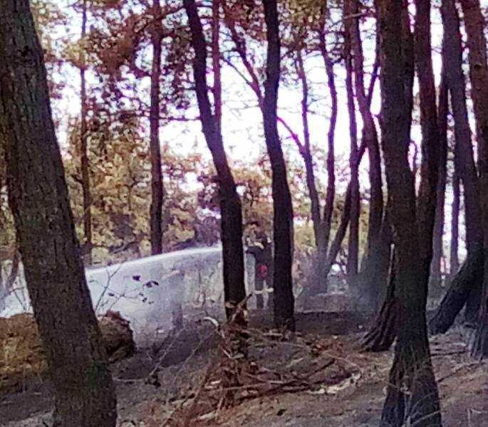 Αυτη είναι η ζημιά στο πανέμορφο δάσος των Αρχαίων Αβδήρων
