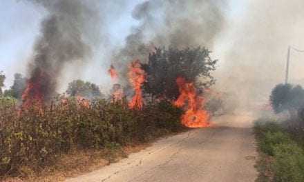 Συνελήφθη Τούρκος για εμπρησμό στην Εγνατία Οδό