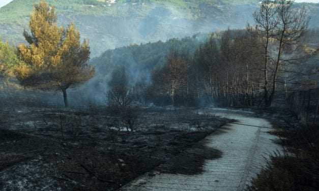 Ψέμματα Τσίπρα για τα καμμένα