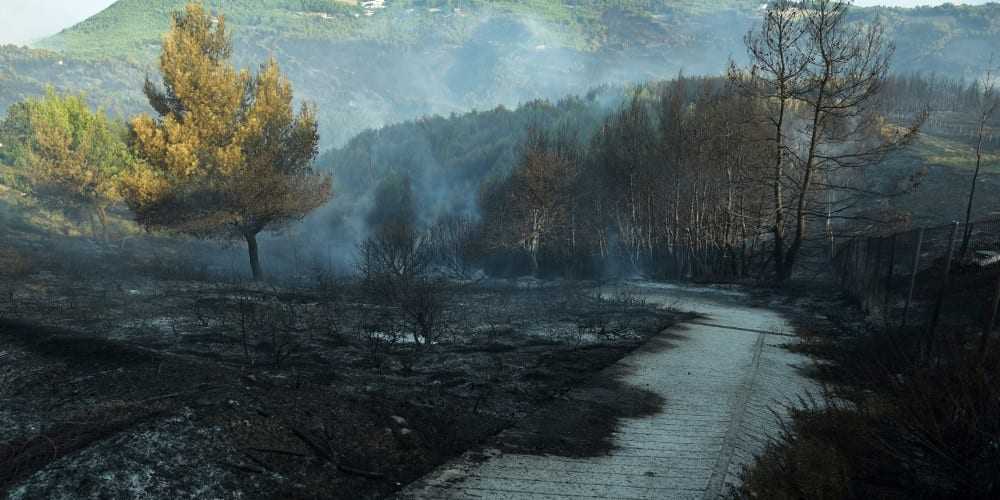 Ψέμματα Τσίπρα για τα καμμένα