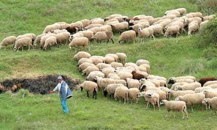 Βιοσημότητα κτηνοτροφίας στην Θράκη – Ερώτηση Χ.Α.