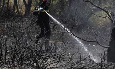 Κομοτηνή: Ολονύκτιος αγώνας των πυροσβεστών. Υπό έλεγχο η φωτιά στην ορεινή Δαρμένη