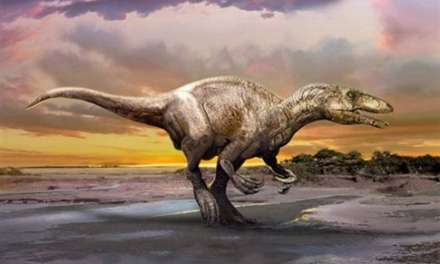 Συνεχείς οι ανακαλύψεις για τη ζωή των δεινοσαύρων