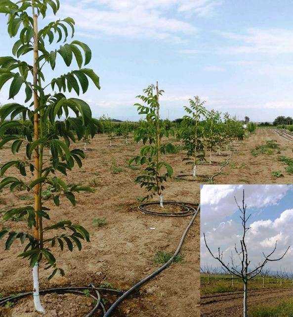 Μία είδηση που ενδιαφέρει τους Αγρότες