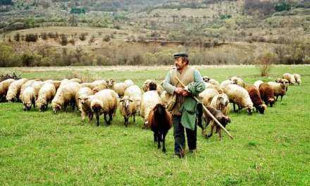 Προτάσεις των κτηνοτρόφων. Ποιος θα τις λάβει υπ όψη;