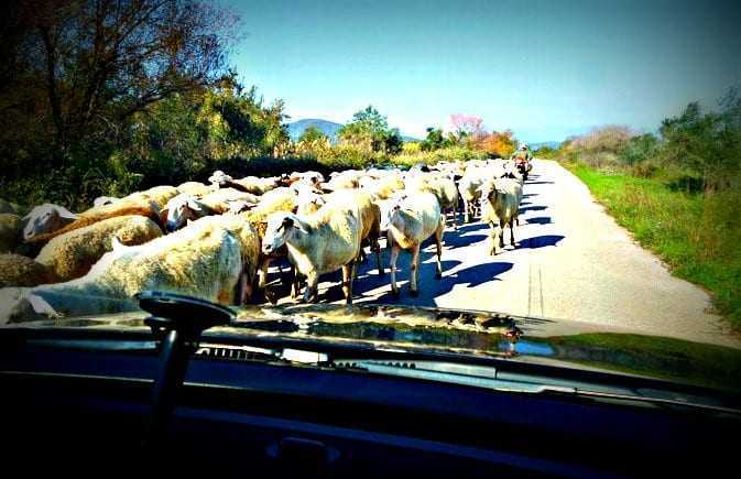 Απίστευτη τραγωδία  πριν λίγο – Ένας νεκρός και 4 τραυματίες