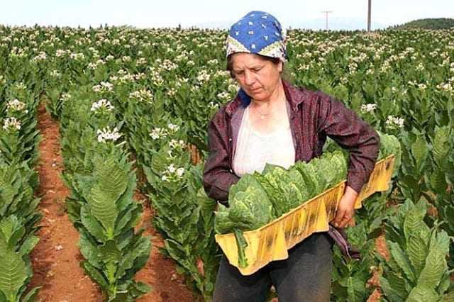 Κραυγή αγωνίας από τους εργαζόμενους της ΣΕΚΑΠ