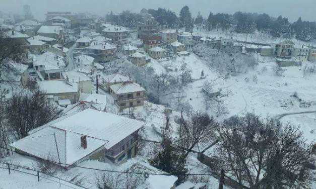 Στα «λευκά» ξανά το Λιβάδι Ελασσόνας (ΦΩΤΟ-ΒΙΝΤΕΟ)