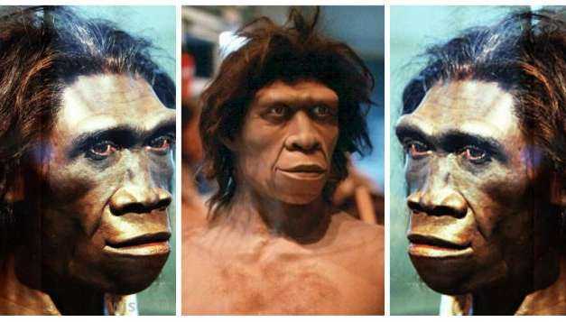 «Ο Homo erectus δεν ήταν ένας ηλίθιος πίθηκος, αλλά το πιο έξυπνο πλάσμα που περπάτησε στη Γη». Νέα θεωρία υποστηρίζει ότι ο «όρθιος άνθρωπος» ταξίδεψε μέχρι την Κρήτη και «εφηύρε» τον λόγο…