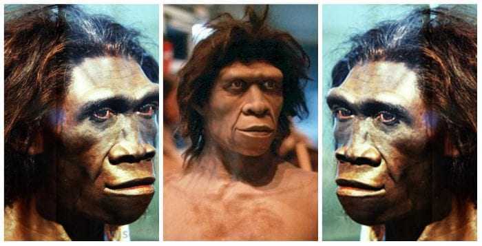 «Ο Homo erectus δεν ήταν ένας ηλίθιος πίθηκος, αλλά το πιο έξυπνο πλάσμα που περπάτησε στη Γη». Νέα θεωρία υποστηρίζει ότι ο «όρθιος άνθρωπος» ταξίδεψε μέχρι την Κρήτη και «εφηύρε» τον λόγο…