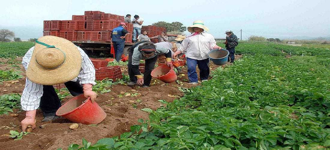 Πως ακριβώς ορίζεται ο κατ’ επάγγελμα αγρότης