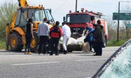 ΞΑΝΘΗ: Σύγκρουση αλόγου με ΙΧ