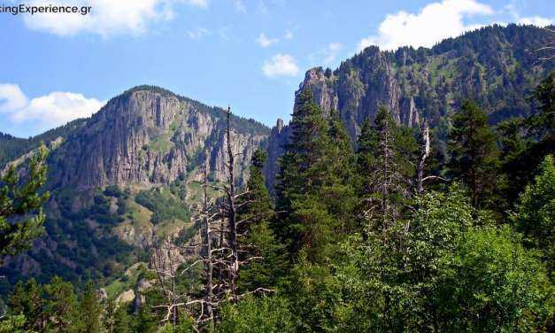 Δημιουργία Κέντρου Πληροφόρησης για το Εθνικό Πάρκο Οροσειράς Ροδόπης στη Δράμα με πόρους από το Επιχειρησιακό Πρόγραμμα της Περιφέρειας ΑΜΘ