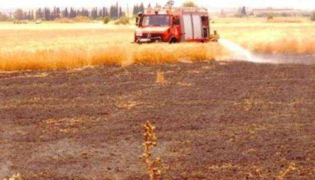 Πυρκαγιά σε αγροτική περιοχή του Πετεινού Ξάνθης