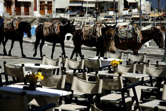 Η Υδρα επιστρέφει στα 60’s που περιέγραφε ο Λέοναρντ Κοέν…ο Δήμαρχος ετοιμάζει μηνύσεις Χωρίς ηλεκτρικό και υδροδότηση από την Κυριακή το νησί