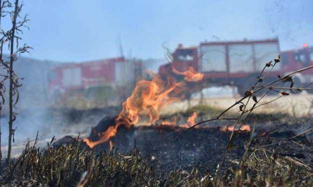 Συνελήφθη εμπρηστής στον Μαραθώνα – ΤΩΡΑ