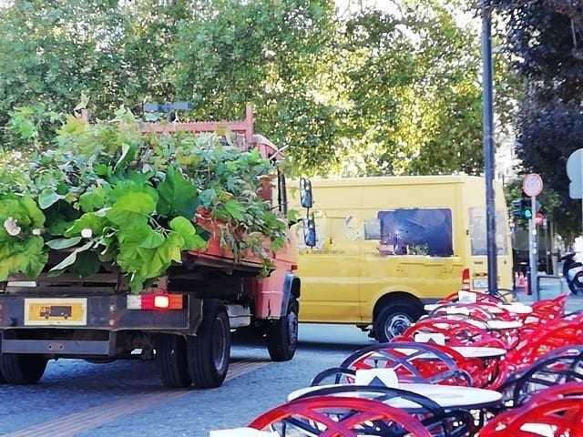 Τηρούνται οι αποφάσεις του Δημοτικού Συμβουλίου;