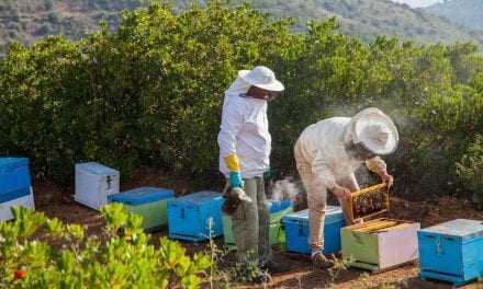 Οι μελισσοκόμοι να δηλώσουν τα μελίσσια μέχρι τις 21 Ιανουαρίου του 2019