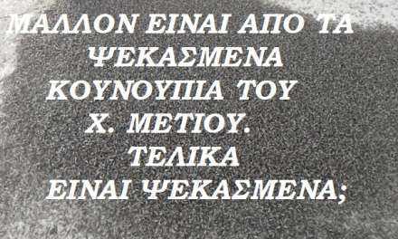 ΦΩΤΟΡΕΠΟΡΤΑΖ. Κουνούπια στο Πόρτο Λάγος; Ποια κουνούπια; Ποιος ψεκασμός; Τα βλέπει ο Χ. Μέτιος όλα αυτά;