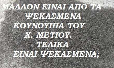 ΦΩΤΟΡΕΠΟΡΤΑΖ. Κουνούπια στο Πόρτο Λάγος; Ποια κουνούπια; Ποιος ψεκασμός; Τα βλέπει ο Χ. Μέτιος όλα αυτά;