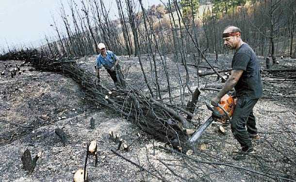 ΚΚΕ:Προβλήματα στην κάλυψη ατομικών αναγκών σε καυσόξυλα των κατοίκων του Δήμου Μύκης στην Π.Ε. Ξάνθης.