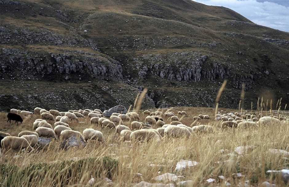 «Οριοθέτηση των μειονεκτικών περιοχών  »