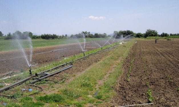 Μείωση της ρύπανσης νερού από γεωργική δραστηριότητα