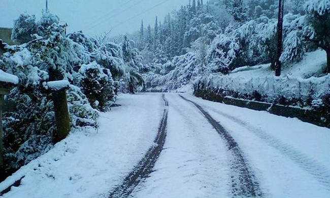 Από την «Σοφία» στον «Ραφαήλ». Μόδα είναι θα περάσει