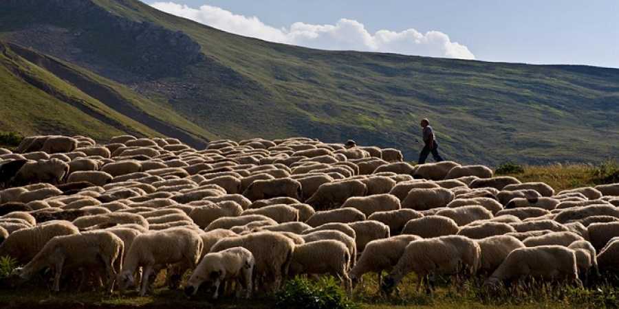 Οι κτηνοτρόφοι να στείλουν στοιχεία για την πληρωμή της εξισωτικής