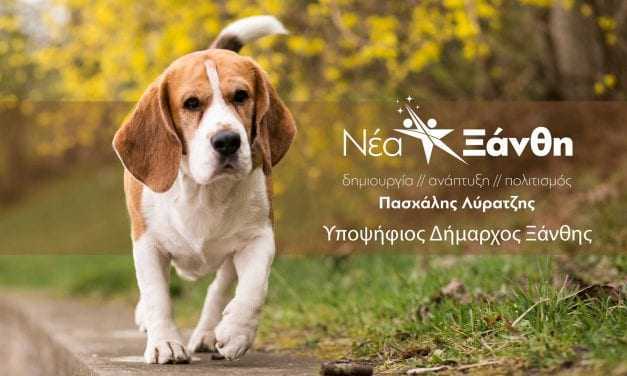 Τι λέει στο πρόγραμμα του ο υποψήφιος δήμαρχος Π. Λύρατζης για τα αδέσποτα