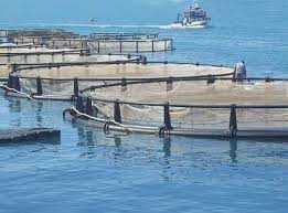 DACIAT – Βελτίωση των υφιστάμενων ικανοτήτων και ανάπτυξη νέων δυνατοτήτων στον τομέα της υδατοκαλλιέργειας και της εμπορίας των αλιευτικών προϊόντων