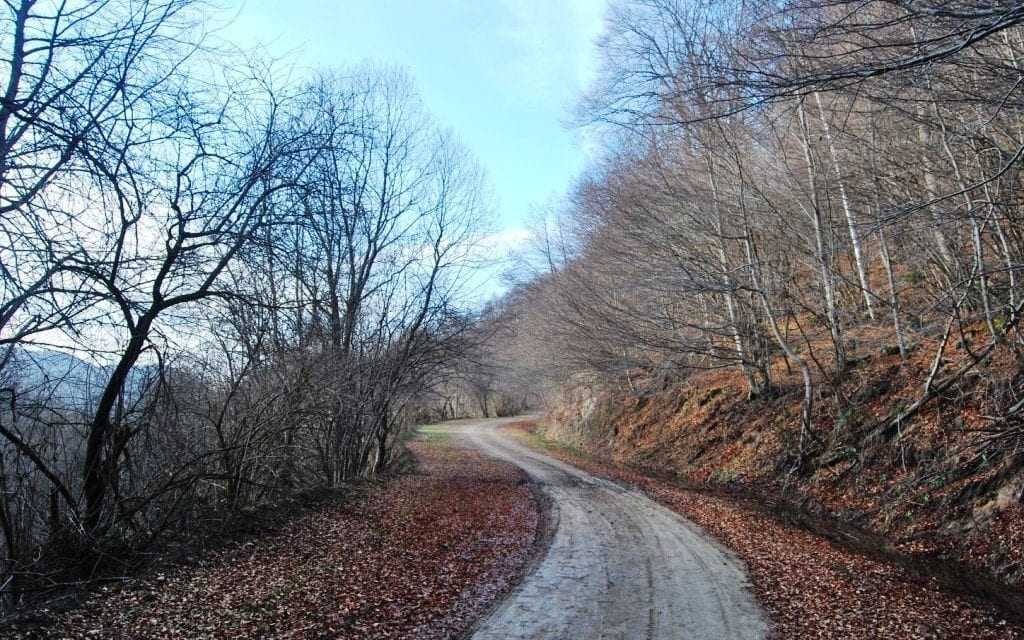 Διαγραμμίσεις στον δρόμο για το Δασικό Χωριό. Άλλη μια προεκλογική φιέστα της δημοτικής αρχής