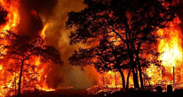 Χρήσιμες οδηγίες – συμβουλές της Πυροσβεστικής Υπηρεσίας Ξάνθης Από σήμερα σε ισχύ η αντιπυρική περίοδος