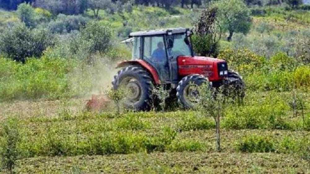 80 εκατ. ευρώ για το Ταμείο Εγγυήσεων Αγροτικής Ανάπτυξης