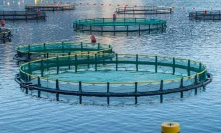«Χορήγηση ενισχύσεων ήσσονος σημασίας (de minimis) στον τομέα των υδατοκαλλιεργειών στα πλαίσια εφαρμογής του Κανονισμού (ΕΕ) αριθ.717/2004 της Επιτροπής (EE L190/45/28.06.2014)»