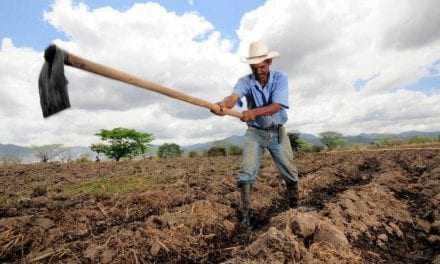Μείωση της φορολογίας στο 10% προωθεί το Υπουργείο Αγροτικής Ανάπτυξης