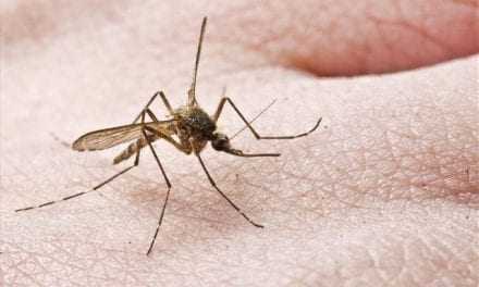 Καταπολέμηση κουνουπιών από την Περιφέρεια