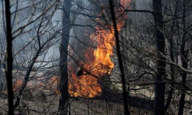 Καίγονται οι Πηγές του Φονιά στη Σαμοθράκη. Η φωτιά καίει σε μεγάλο υψόμετρο